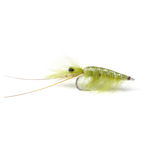 Olive CDC Shrimp #6 i gruppen Sluker / Fluer / Streamere hos Sportfiskeprylar.se (101583GL)