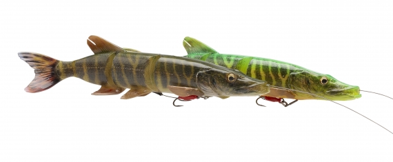 Savage Gear 4D Line Thru Pike 25cm 110g Slow Sink i gruppen Sluker / Swimbaits / Soft Swimbaits hos Sportfiskeprylar.se (61789r)