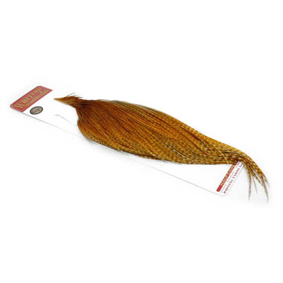 Whiting Bronze 1/2 Dry Fly Hackle Barred Dark Ginger i gruppen Kroker Og Terminal Takkel / Flue Binding / Fluebindingsmateriale / Fjær Og Nakke / Hackle hos Sportfiskeprylar.se (91341016)