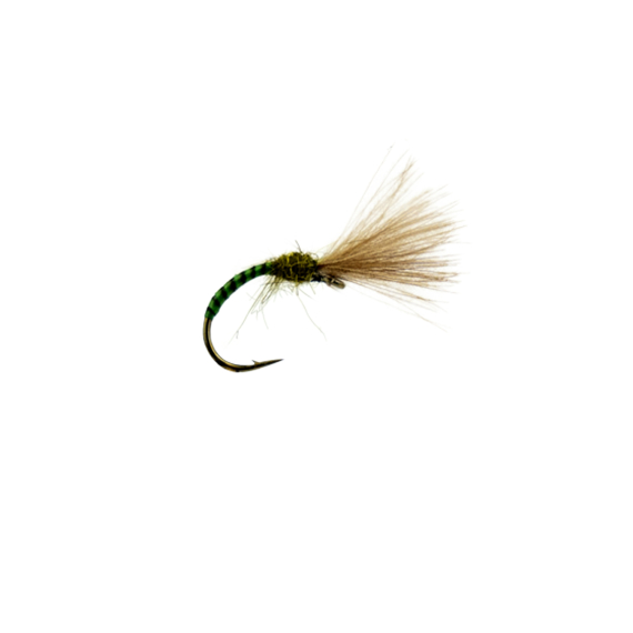 Shuttlecock Quill Emerger Olive # 15 i gruppen Sluker / Fluer / Tørrflue hos Sportfiskeprylar.se (F30-1007-15)