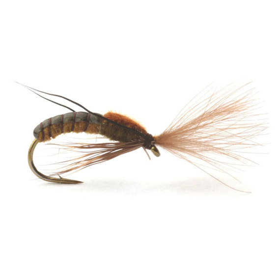 Super Emerging Caddis Brown Olive i gruppen Sluker / Fluer / Tørrflue hos Sportfiskeprylar.se (GL46166r)