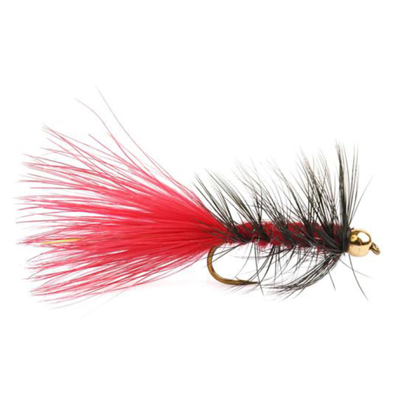 Wolly Bugger Gold Head Red Black size 8 i gruppen Sluker / Fluer / Streamere hos Sportfiskeprylar.se (HF1231-8)