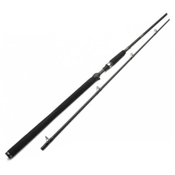 Westin W3 Powercast-T 8\'3\'\'/251cm XXH 40-130g 2pcs Casting i gruppen Stenger / Kaste Stenger hos Sportfiskeprylar.se (W303-0832-XXH)