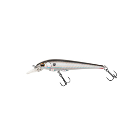 Silver Minnow