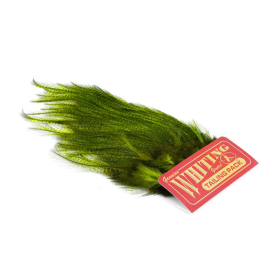 Pardo dyed Fl Green Chartreuse