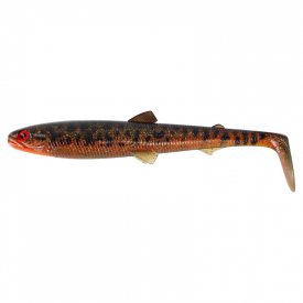 Motoroil Burbot