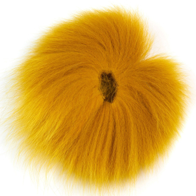 Lion Yellow