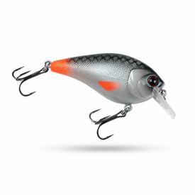 Scout Squarebill - Hotfin Roach