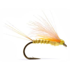 CDC Biot Dun Emerger PMD