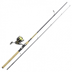 Daiwa Crossfire LT3000-C Gold Rush 8' 15-50G/0.19YL