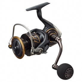 Daiwa 22 Caldia SW