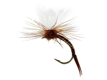 Aurivilli Emerger Quill Brown TMC212TR #13