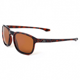 Fortis Eyewear Strokes, Brown 24/7